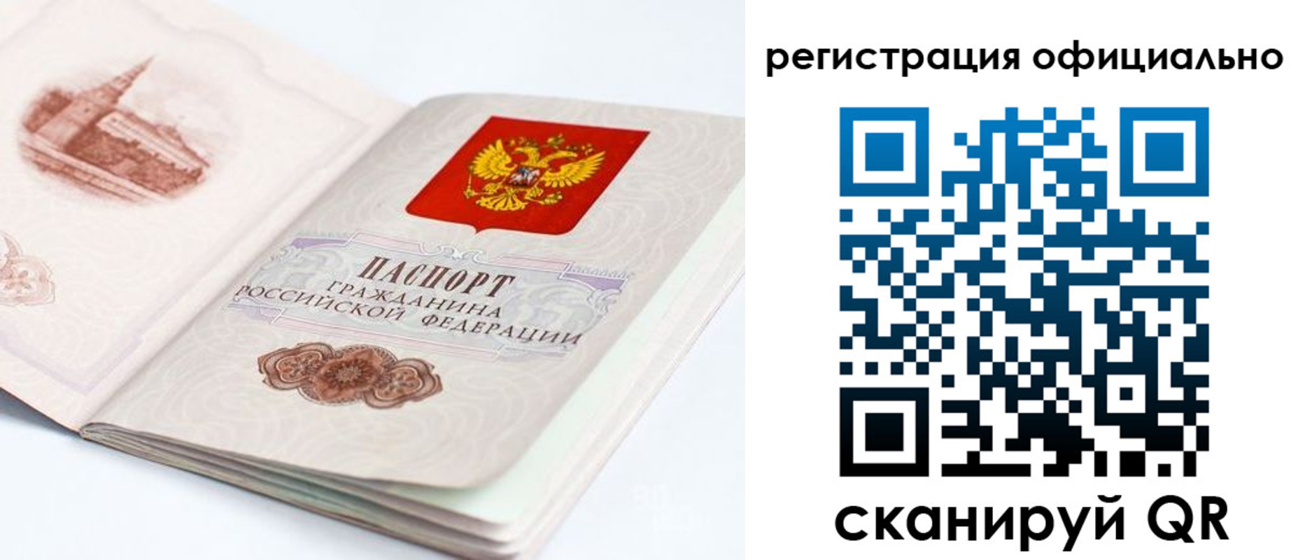 прописка гарантия в Волгограде